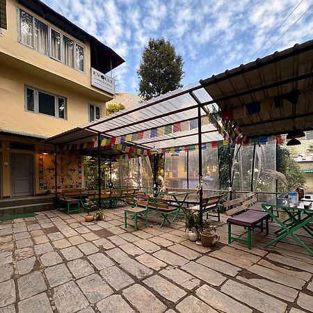 Eevolve Dharamkot - An Eco Hostel McLeod Gandzs Kültér fotó