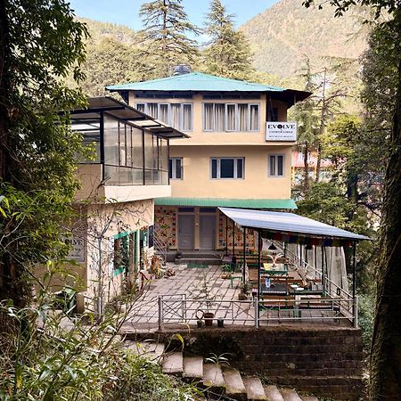 Eevolve Dharamkot - An Eco Hostel McLeod Gandzs Kültér fotó