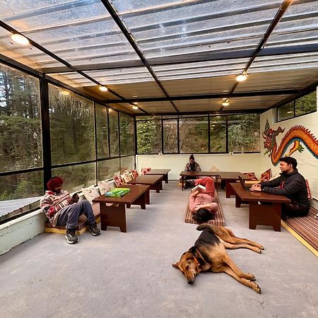 Eevolve Dharamkot - An Eco Hostel McLeod Gandzs Kültér fotó