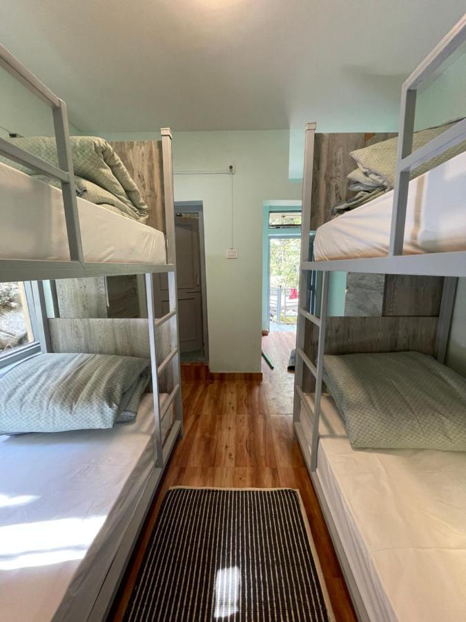 Eevolve Dharamkot - An Eco Hostel McLeod Gandzs Kültér fotó