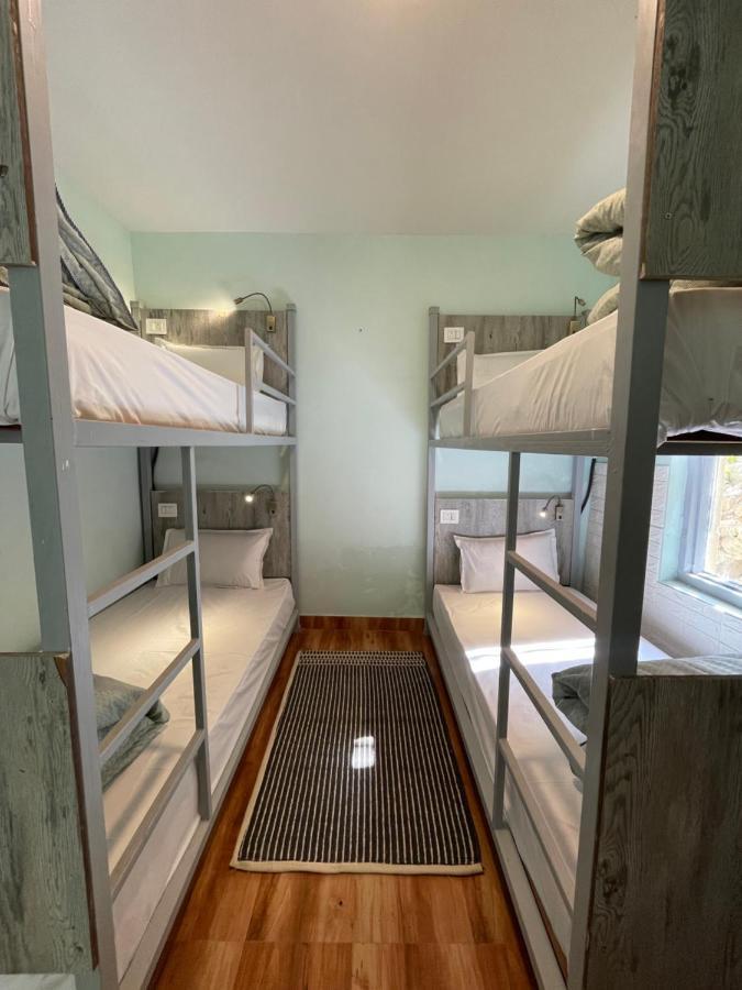 Eevolve Dharamkot - An Eco Hostel McLeod Gandzs Kültér fotó