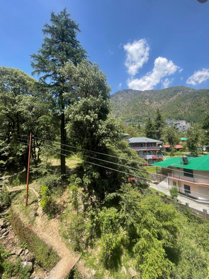Eevolve Dharamkot - An Eco Hostel McLeod Gandzs Kültér fotó