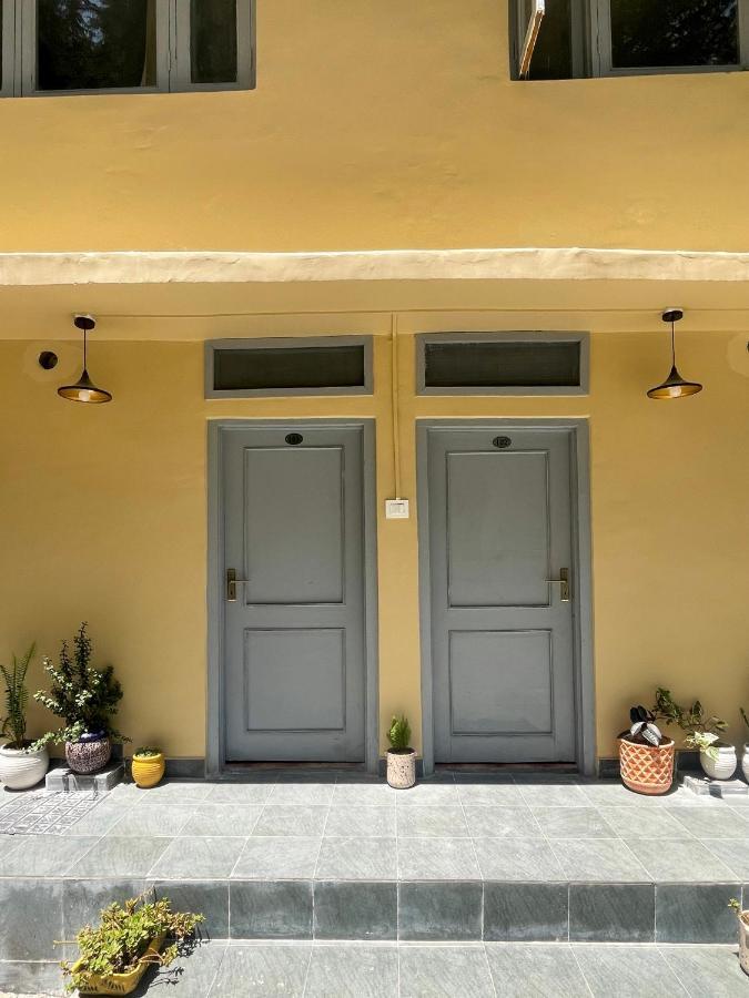 Eevolve Dharamkot - An Eco Hostel McLeod Gandzs Kültér fotó