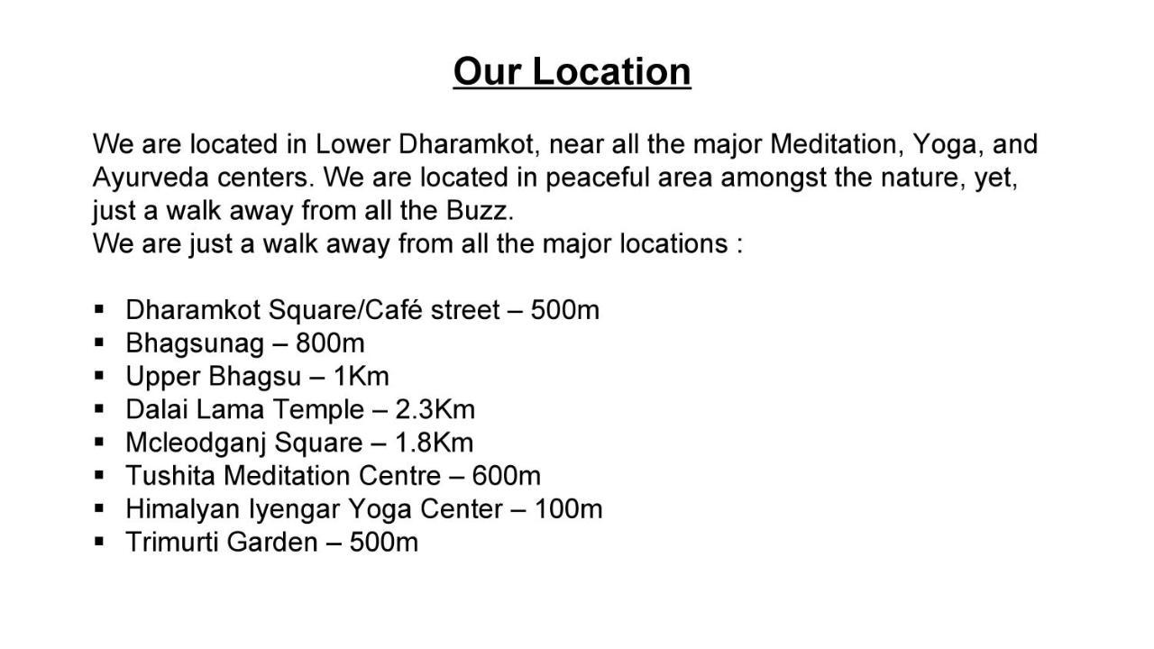 Eevolve Dharamkot - An Eco Hostel McLeod Gandzs Kültér fotó