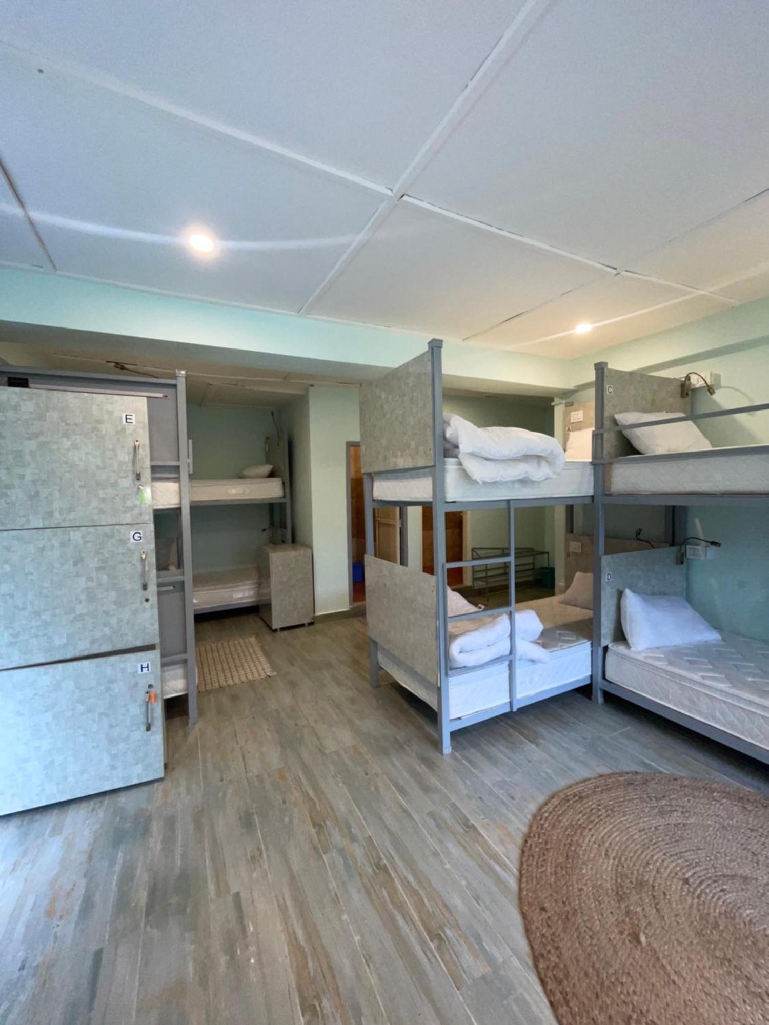 Eevolve Dharamkot - An Eco Hostel McLeod Gandzs Kültér fotó