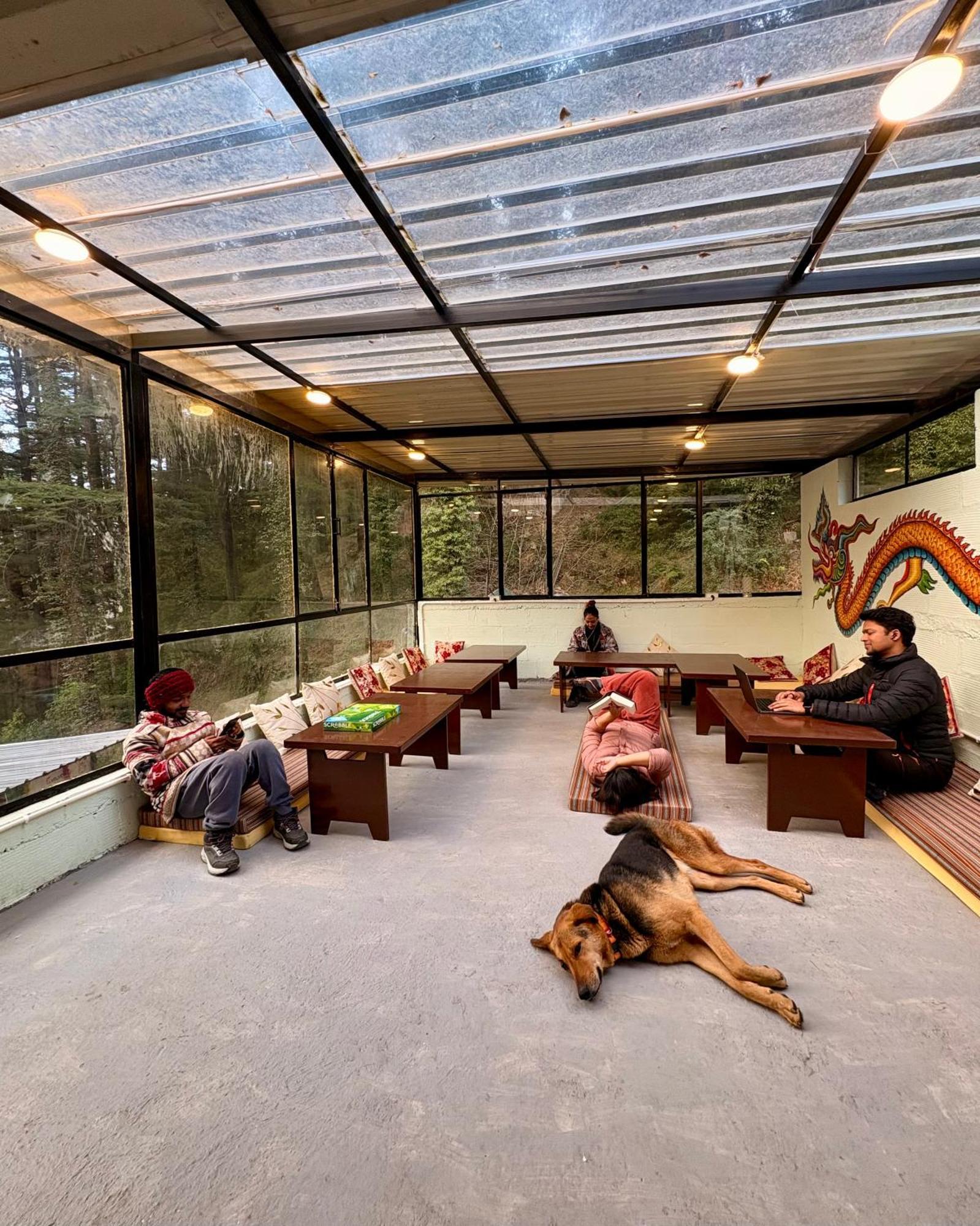 Eevolve Dharamkot - An Eco Hostel McLeod Gandzs Kültér fotó